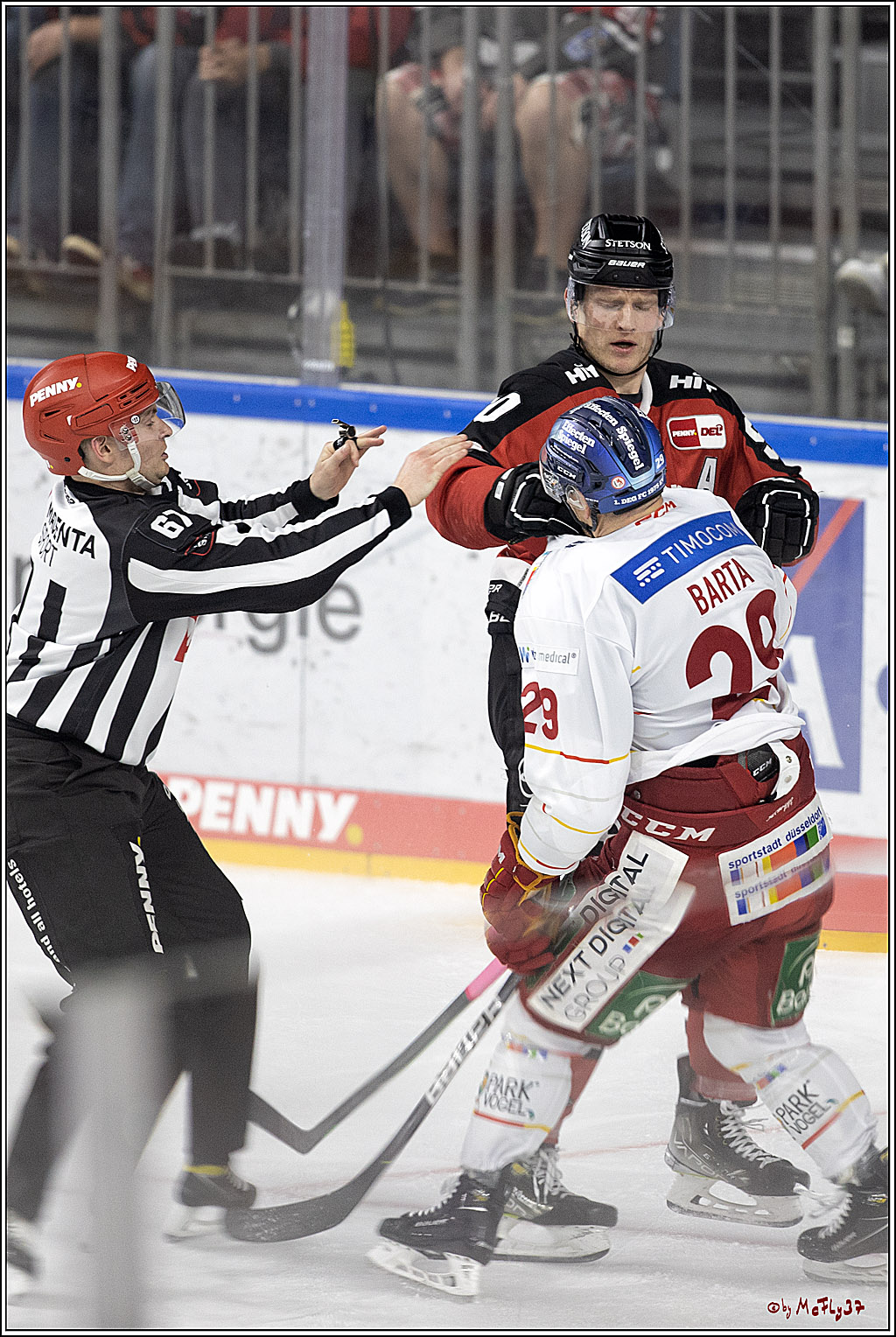 PENNY DEL;  Koelner Haie - Duesseldorfer EG; Koeln, 19.10.2021